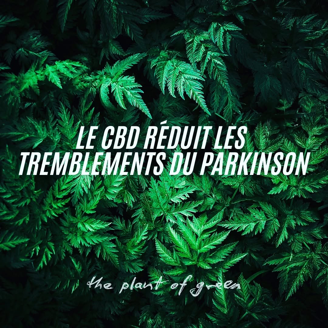bienfait1