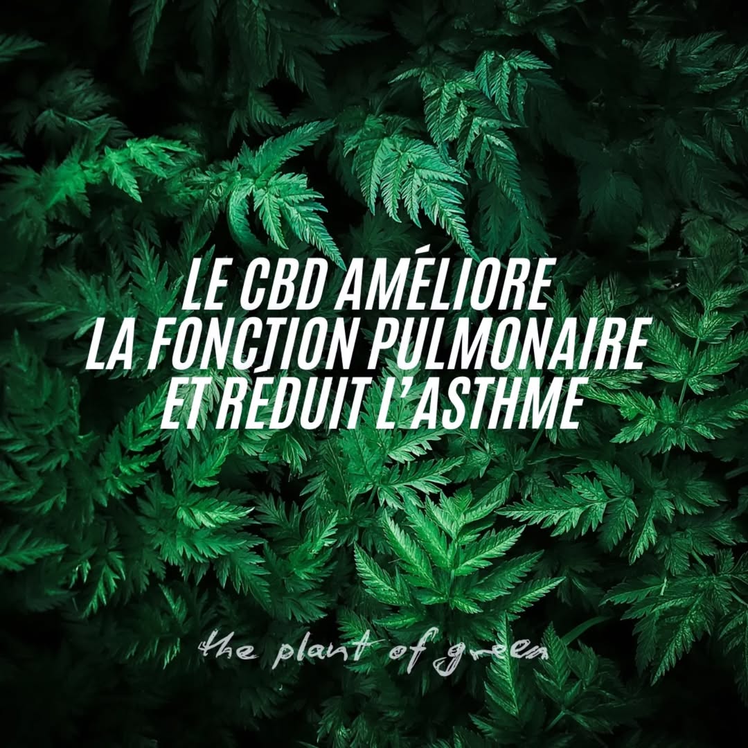 bienfait2
