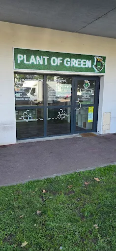 Boutique Plant of Green