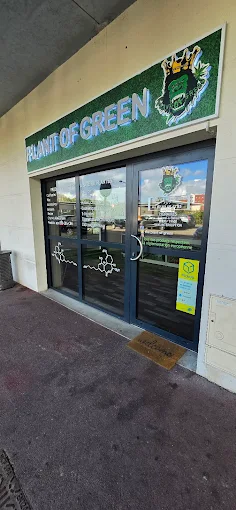 Boutique Plant of Green