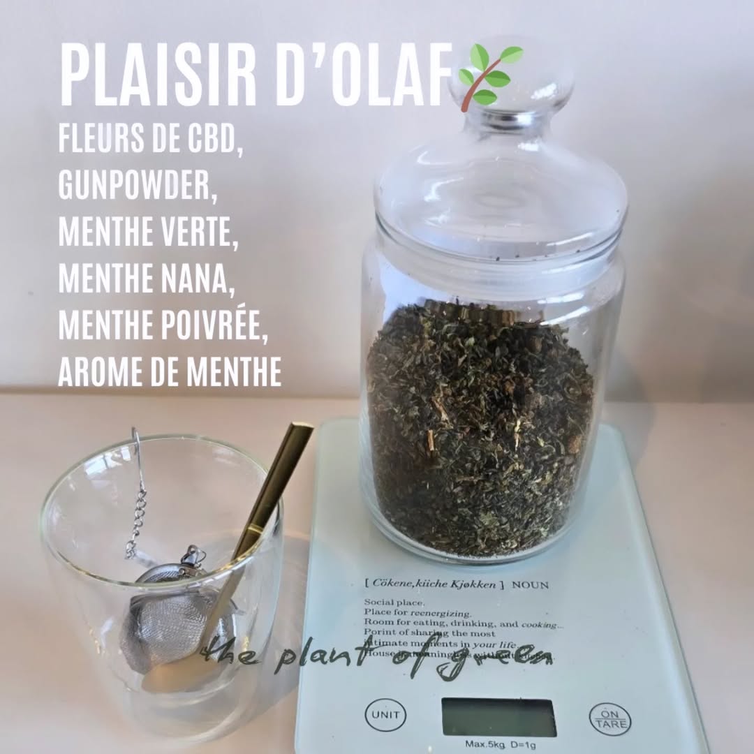 Plaisir d'Olaf